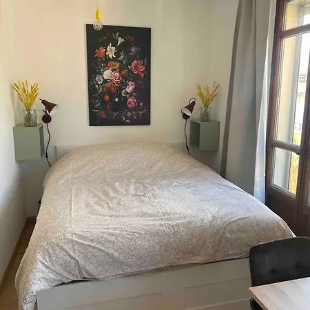 Apartment Refait A Neuf En Hypercentre Avec Balcon